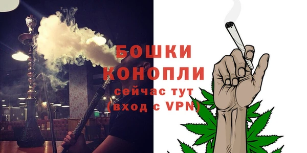сатива Богданович