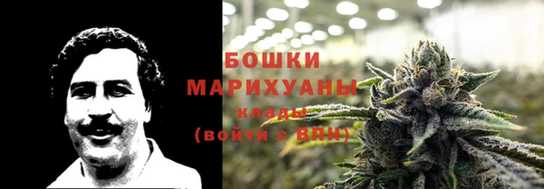 сатива Богданович