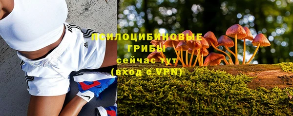 сатива Богданович