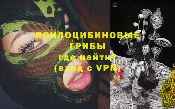 mdpv Богородицк