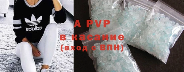сатива Богданович