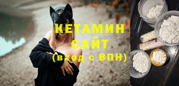 сатива Богданович